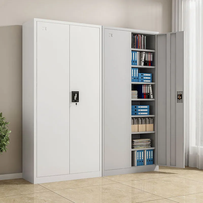 2 Door Steel File Cabinet+Application 2 Door Steel File Cabinet+Application